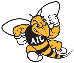 American International College