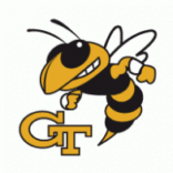 The Georgia Institute of Technology