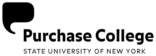 SUNY Purchase Cornerstone Program